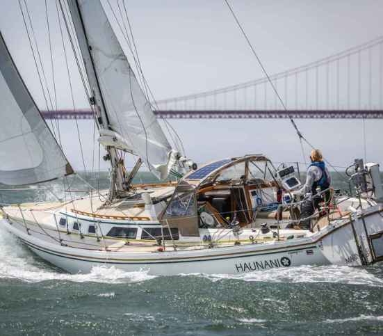 Charting a Course to Wellness: The Healing Harmony of Art and Sailing